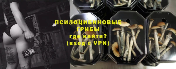 молекула духа Бронницы