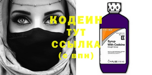 молекула духа Бронницы