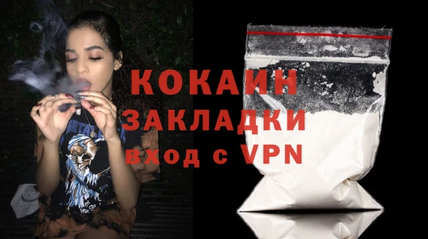 ешки Бородино