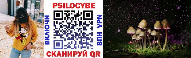 Псилоцибиновые грибы Cubensis Сосногорск