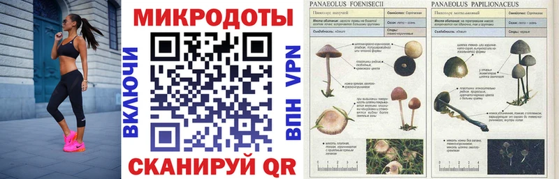 купить наркотик  Сосногорск  Псилоцибиновые грибы ЛСД 